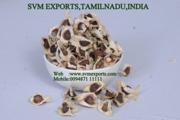 Aromatic Moringa Seed Suppliers India