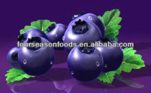 high quality frozen blueberry