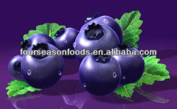 high quality frozen blueberry
