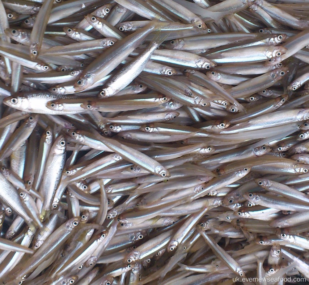 Заморожені морепродукти ставкова корюшка