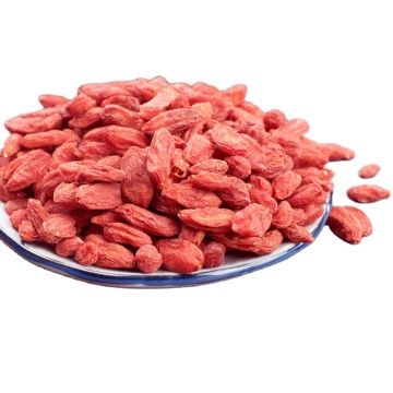 kurutulmuş goji meyveleri toptan satış
