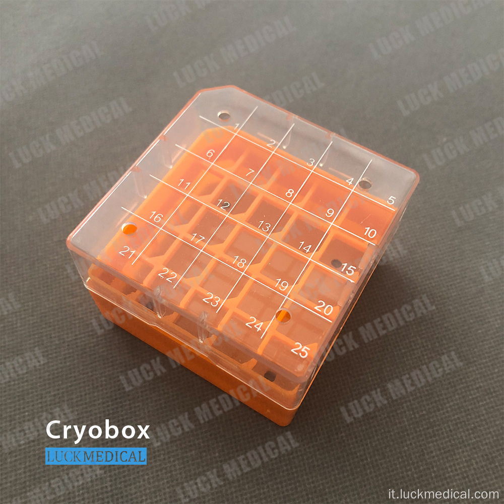 5x5 25 Posiziona rack di archiviazione criobox