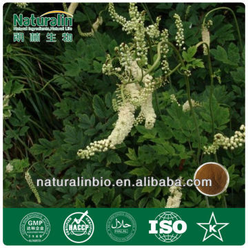 Black Cohosh Extract Powder