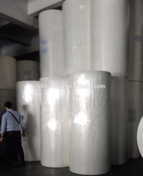 Raw material pulp Paper