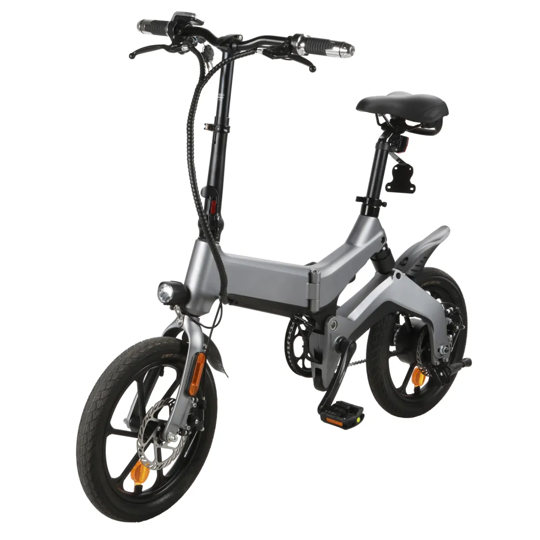 Newest Mini Folding E Bike 14