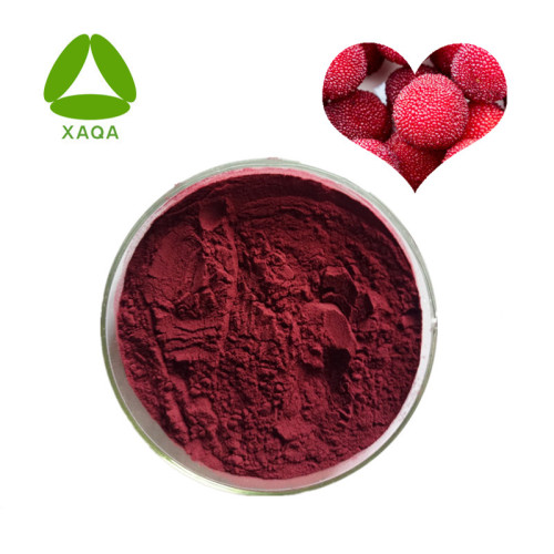 Myrica Rubra Waxberry Extract Red Bayberry Pulver