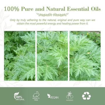 100% Pure Organic Natural Price Capillary Artemisia Wormwood Essential Oil