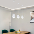 LEDER Interesting Metal Pendant Lights