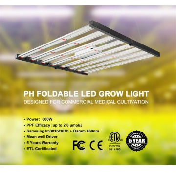 Luz led dobrável mais nova para a tenda de 4x4ft