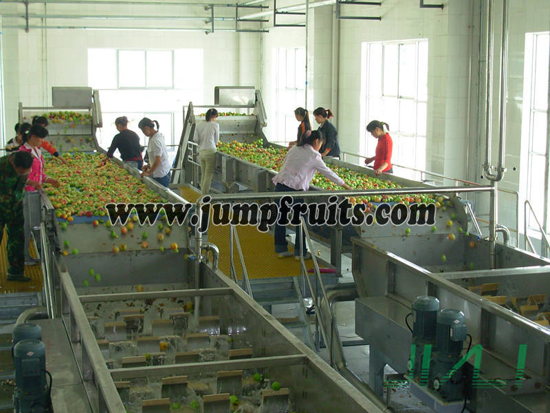 Wine Filling Line Machinery And Equipment