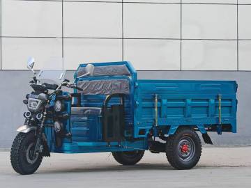 High-Efficiency Five-Light Delivery Electric Tricycle