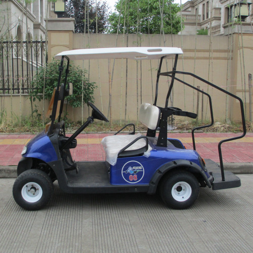 2 seaters gas golf carts for sale