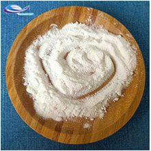 Yam Powder Yam Extract Powder Yam Plain Powder