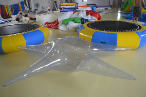 Inflatable Starfish Model (M-014)
