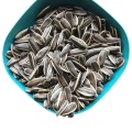 Raw Sunflower Seeds With Different Types