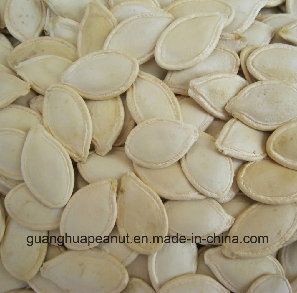 New Crop High Quality Shine Skin Pumpkin Seeds