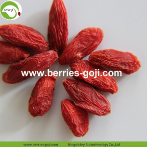 Nhà máy Cung cấp Trái cây Đóng gói tự nhiên Goji Berries