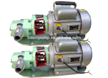 Cheap Electric Gear Pump (WCB-75)