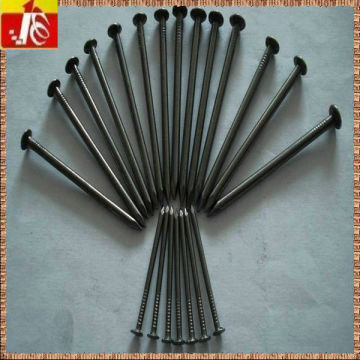 Polish Common Wire Nails Exporter