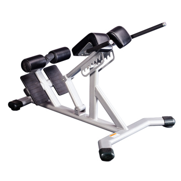 Home Exercise Equipment Back Extension Bench Roman Chair