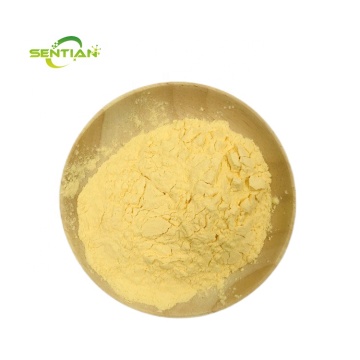 Pure Vitamin K1 Powder Nutritional Supplements