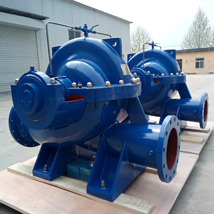 Cast iron double suction water pump without motor