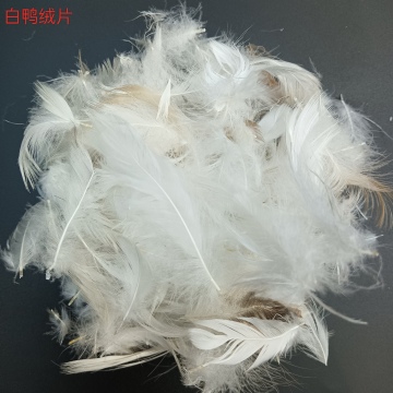 Feathering Your Home: Elegant Furniture Accessories