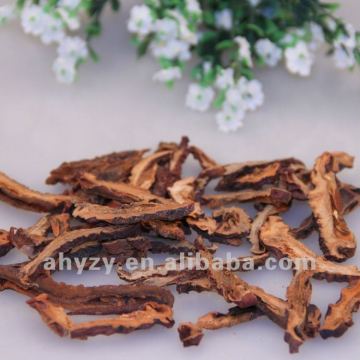 Good quality Dried Pawpaw Pieces(Ganmuguapian)