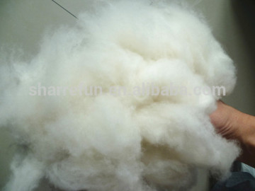 Nature White Dehaired Goat Wool