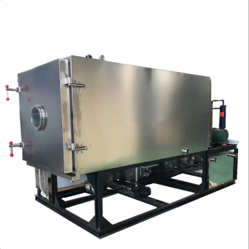 Cocoa Mucilage Drying Machine: Efficient Solutions for Processing Cocoa Products