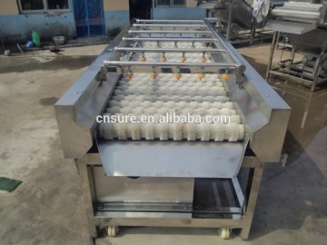 Jujube Washing Machine Washer Production Line