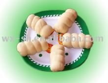 tofu products machine