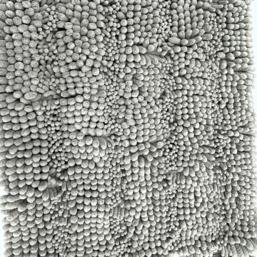 Water Absorbing Quick Dry Chenille Bathmats