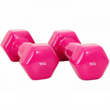 Vinyl Coated Hex Dumbbell