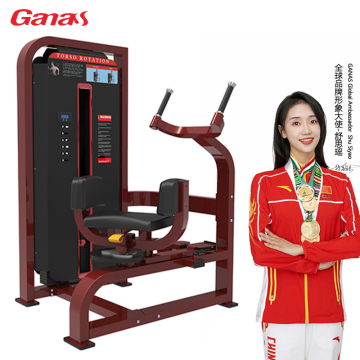 Gym Fitness Equipment Rotary Torso For Abdomen