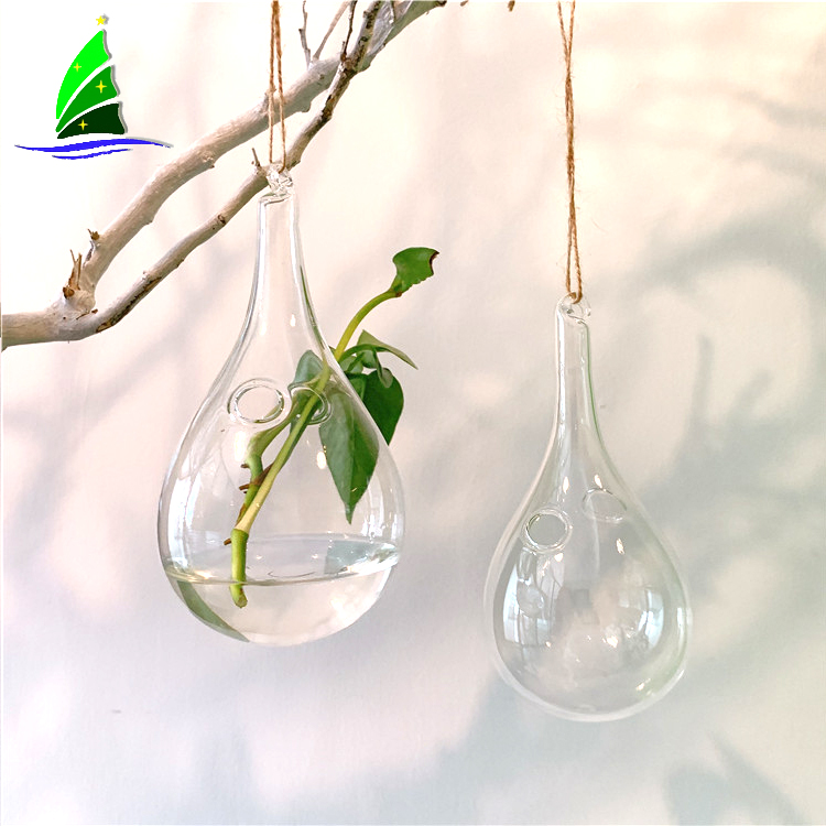 transparent hanging hydroponic glass vase