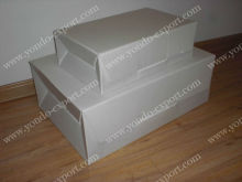 Corrugated plastic shoe box