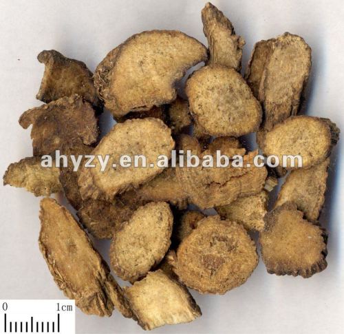 Medicinal cyathula root