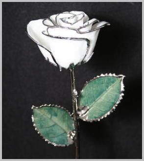 Snow White 24k Gold Dipped Rose Gold Plated Rose  11" Valentines Day Gifts