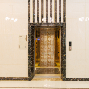 Golden Mirror Gravure MRL soulève l&#39;ascenseur passager