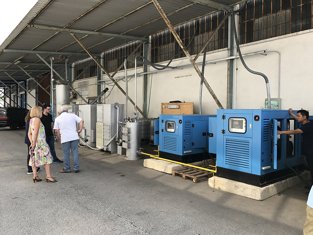 CE Approved Biomas/Woodchip Gasification Plant