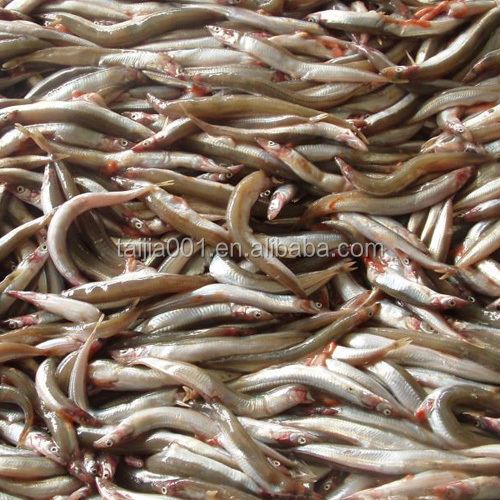 2020 Good Quality New Fish meal