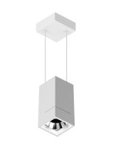 IP44 Waterproof Pendant Surface Light