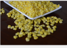IQF Frozen Corn Kernels