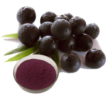 Acai berry powder in bulk supply