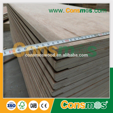 manufacturer 12mm plywood shandong