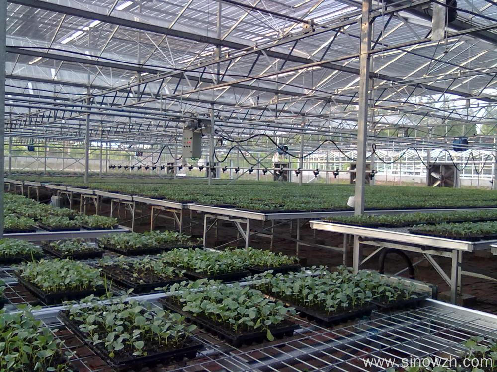 Structure agriculture green houses