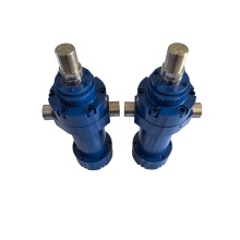 Lifting Hydraulic Cylinder for Waste Trolley