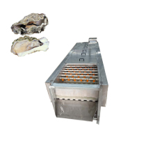 High Speed Automatic Brush Washing Machine for Shellfish
