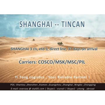 Shanghai Sea Freight to Tincan